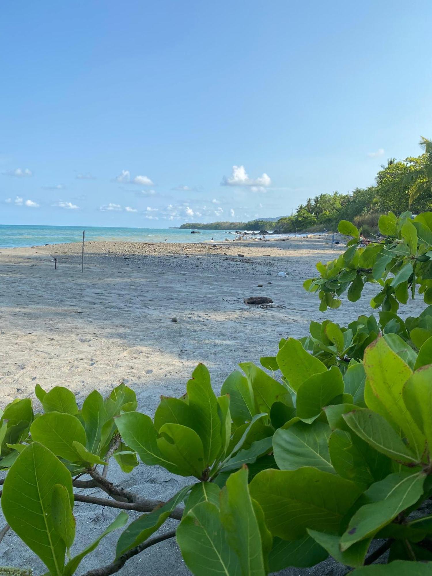 Villas Cabuya Beach & Jungle Exterior photo